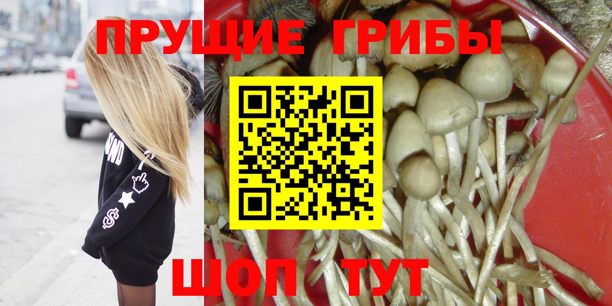 Галлюциногенные грибы ЛСД  Галлюциногенные грибы Cubensis  Вход с VPN  купить наркотик  Нижний Новгород 